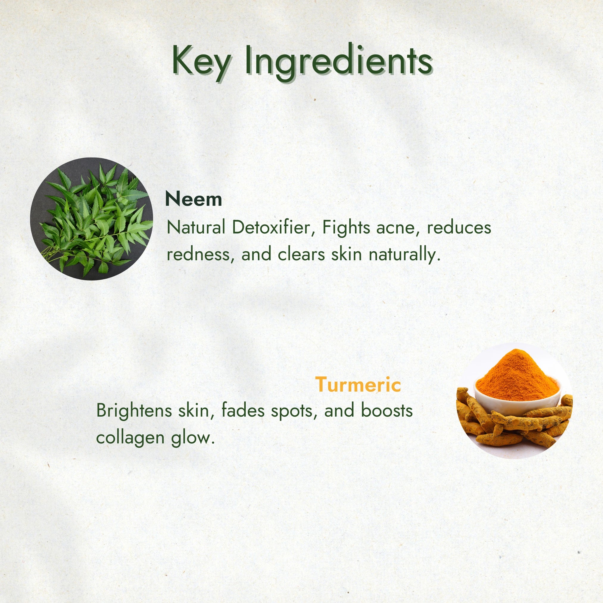 Organic Neem Facewash Powder