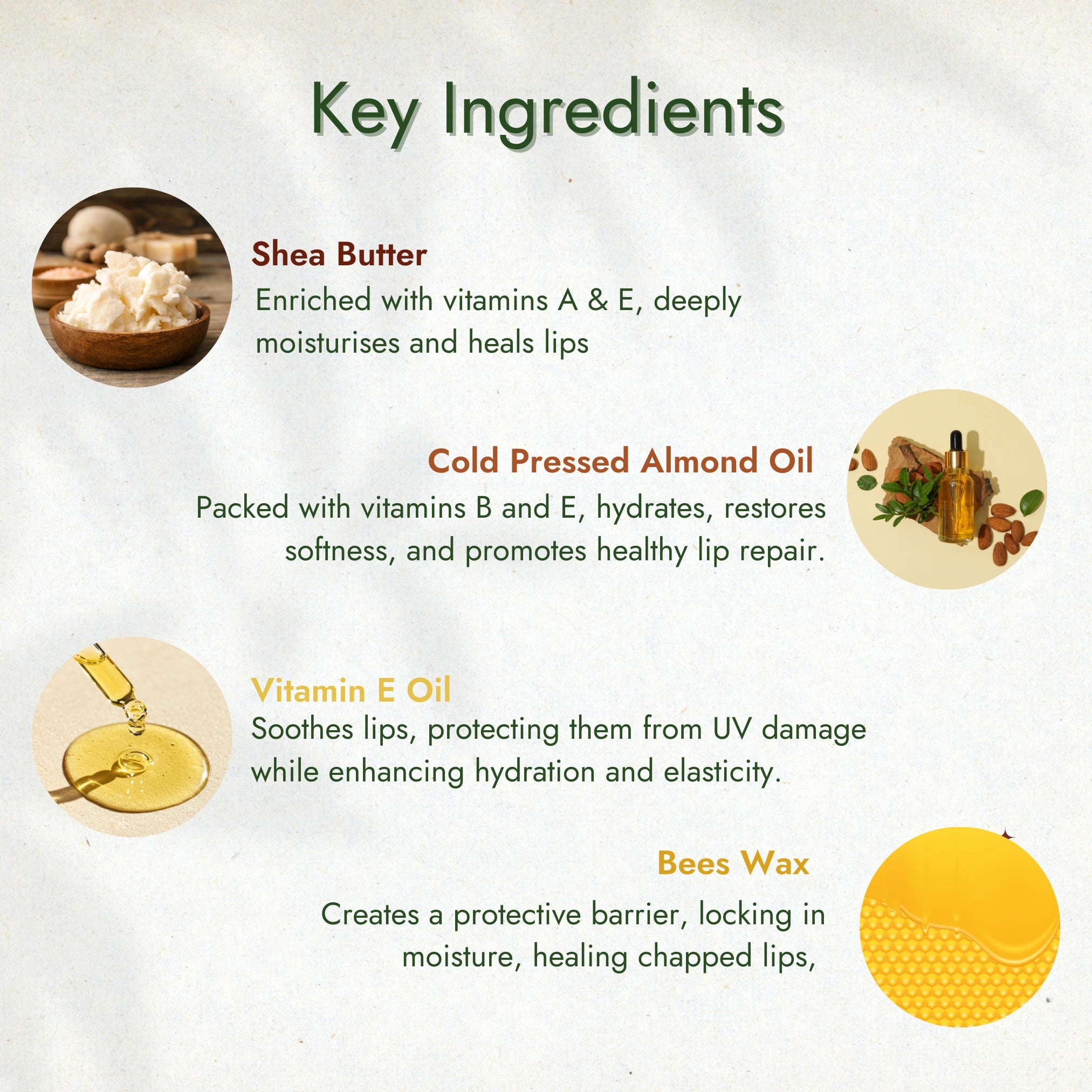 Organic Shea Butter Tinted Lip Balm