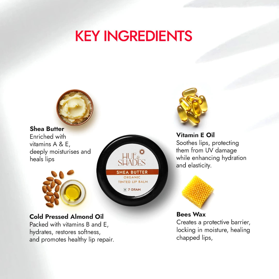Organic Shea Butter Tinted Lip Balm